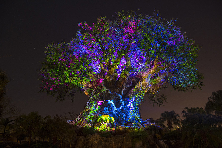 Tree of Life Awakenings en Disney's Animal Kingdom se expandirá