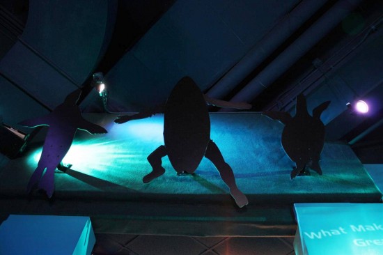 "Encuentra" tiburones de una manera nueva
