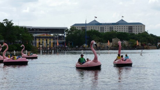 Cinco razones principales por las que SeaWorld debería ser parte de tus próximas vacaciones en Orlando
