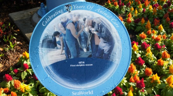Celebrando el 50 aniversario de SeaWorld con diversión y estilo inesperados