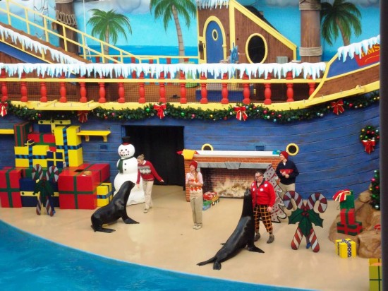 Informe de viaje de SeaWorld Orlando: noviembre de 2013 (las vacaciones están aquí cuando comienza la celebración navideña de SeaWorld)