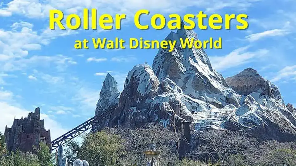 Montañas rusas en Walt Disney World (2023)