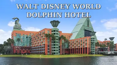 Delfín de Walt Disney World | Galería de fotos