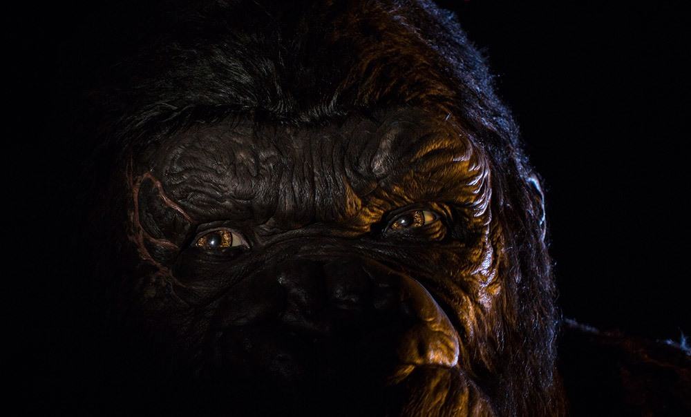 El propio King Kong REVELADO para Skull Island: Reign of Kong