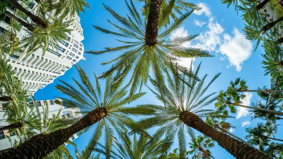 Los mejores hoteles de lujo en Miami (2023)