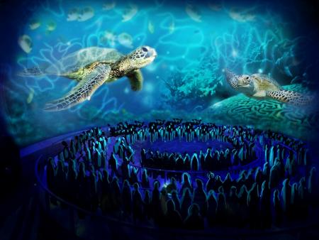 SeaWorld Orlando anuncia fecha de apertura de TurtleTrek