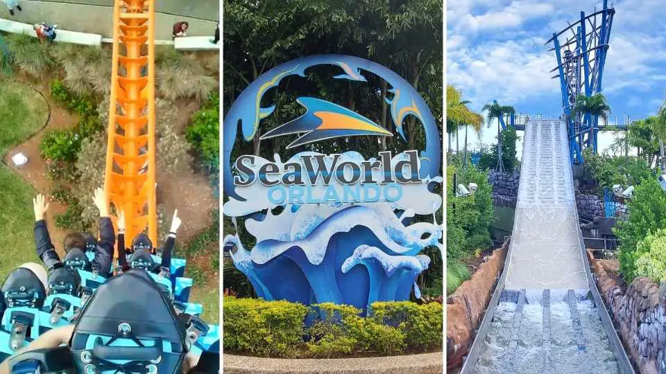 Las 10 mejores atracciones en SeaWorld Orlando (2023)