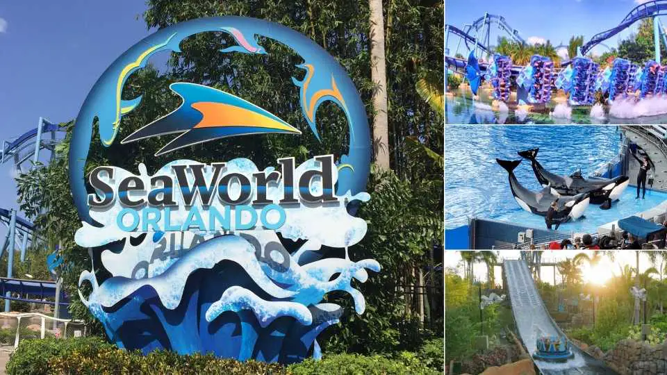 SeaWorld Orlando: consejos y trucos que le ayudarán en su día