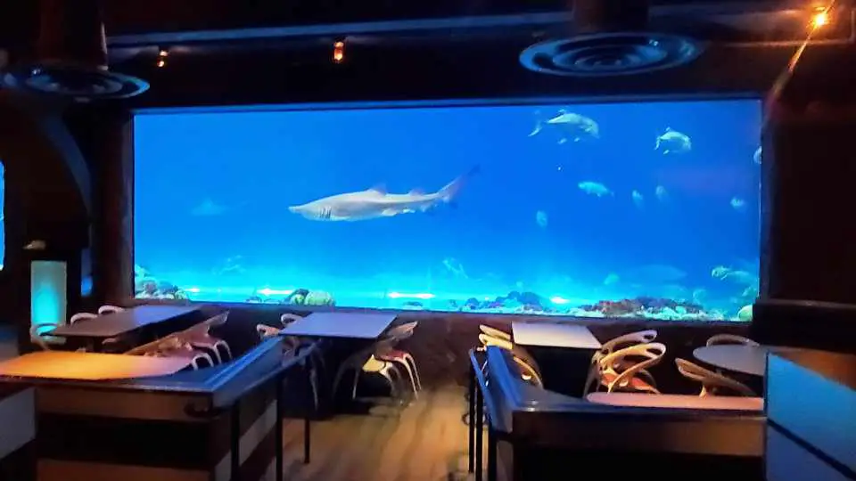 Bar y parrilla submarina Sharks – SeaWorld Orlando