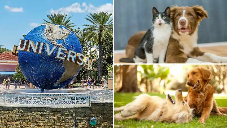 Hoteles en el lugar que admiten mascotas en Universal Orlando (2023)