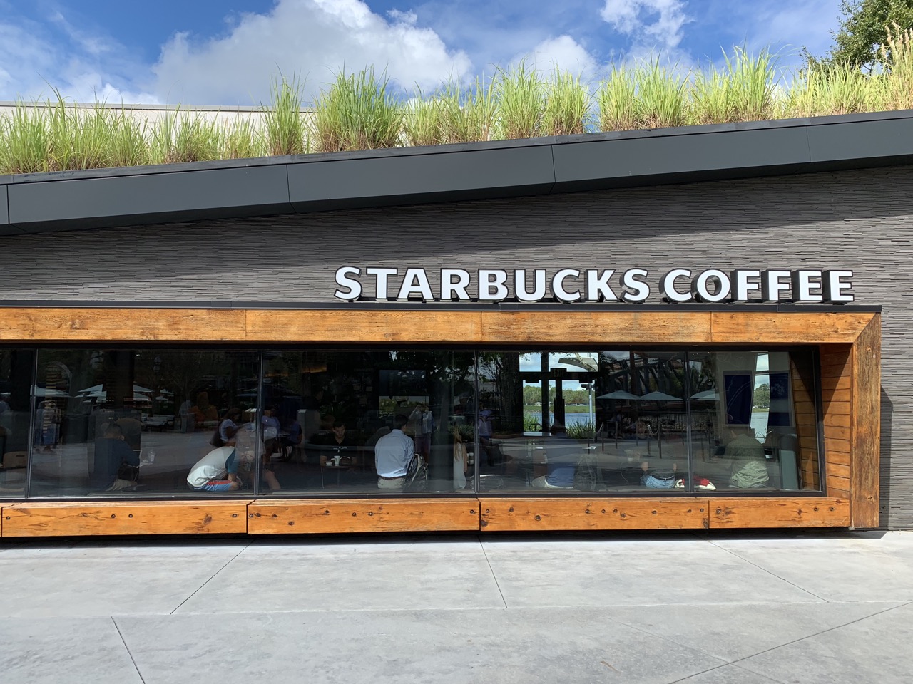 Guía completa de Starbucks en Disney World