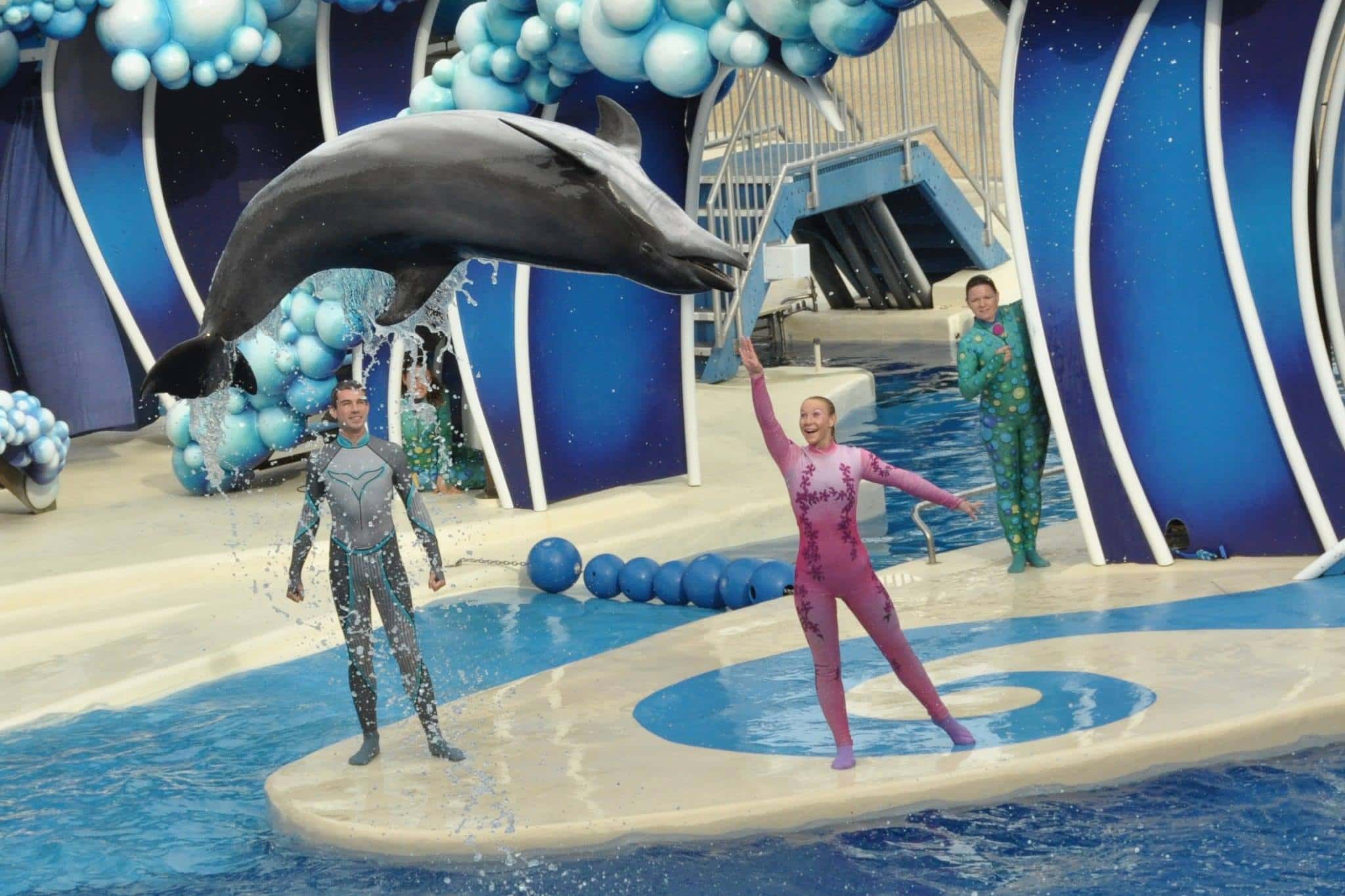 SeaWorld Orlando anuncia nuevo espectáculo "Dolphin Days"