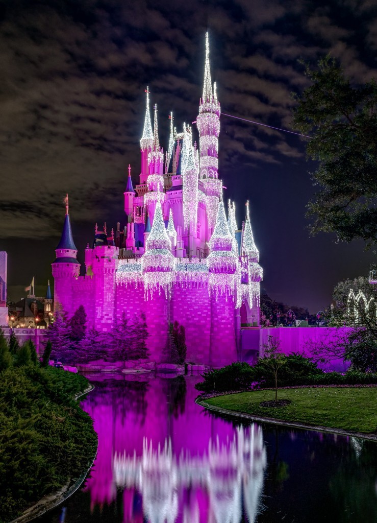 6 hermosas fotos del Castillo de Cenicienta en Disney World