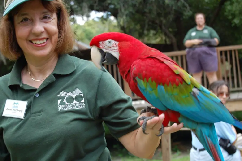 Atracciones de animales que DEBES visitar en Orlando