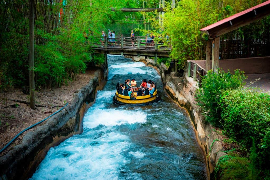 Las mejores cosas que hacer en Busch Gardens Tampa Bay para quienes no viajan en montañas rusas