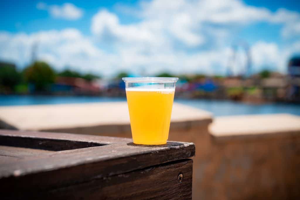 Festival de cerveza artesanal de SeaWorld Orlando 2023