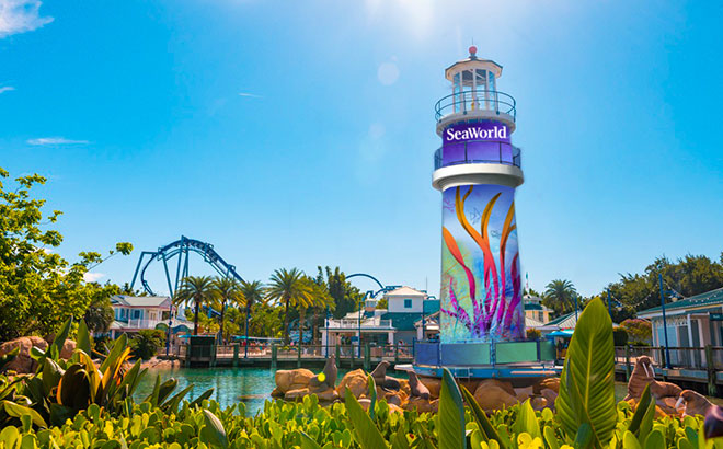 3 grandes cambios para SeaWorld Orlando en 2021