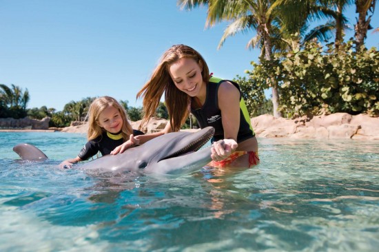 Discovery Cove anuncia ahorros para residentes de Florida (hasta $70); SeaWorld y Busch Gardens todavía ofrecen boletos de $50 entre semana para residentes en EE. UU.