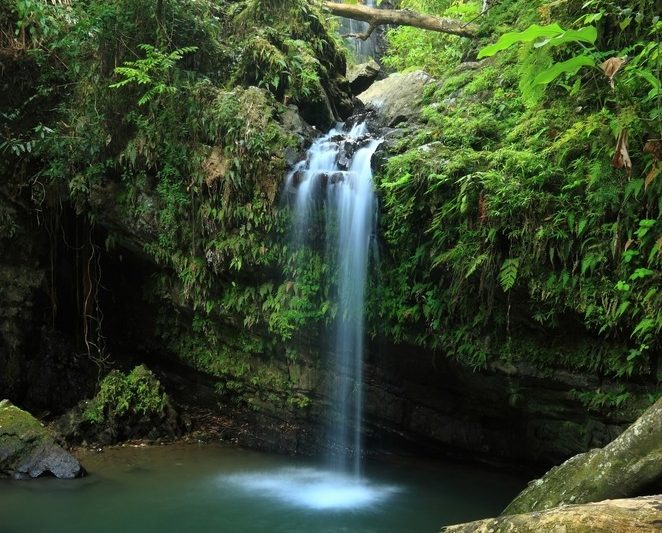 Lista de deseos: la cascada secreta de Puerto Rico