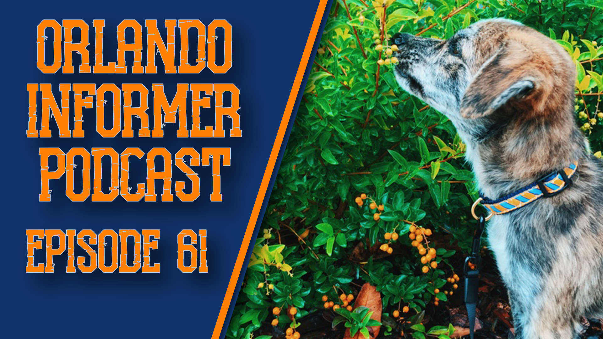 Orlando Informer Podcast Episodio 61