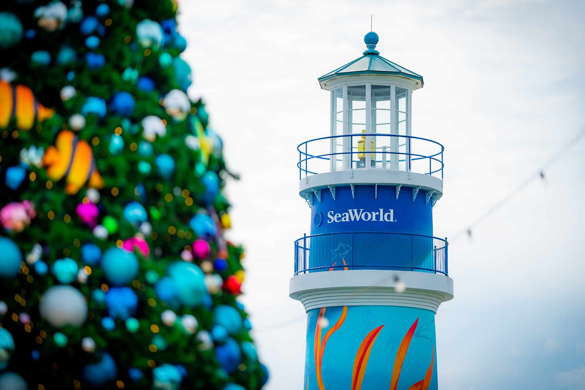 La mejor manera de vivir la celebración navideña de SeaWorld