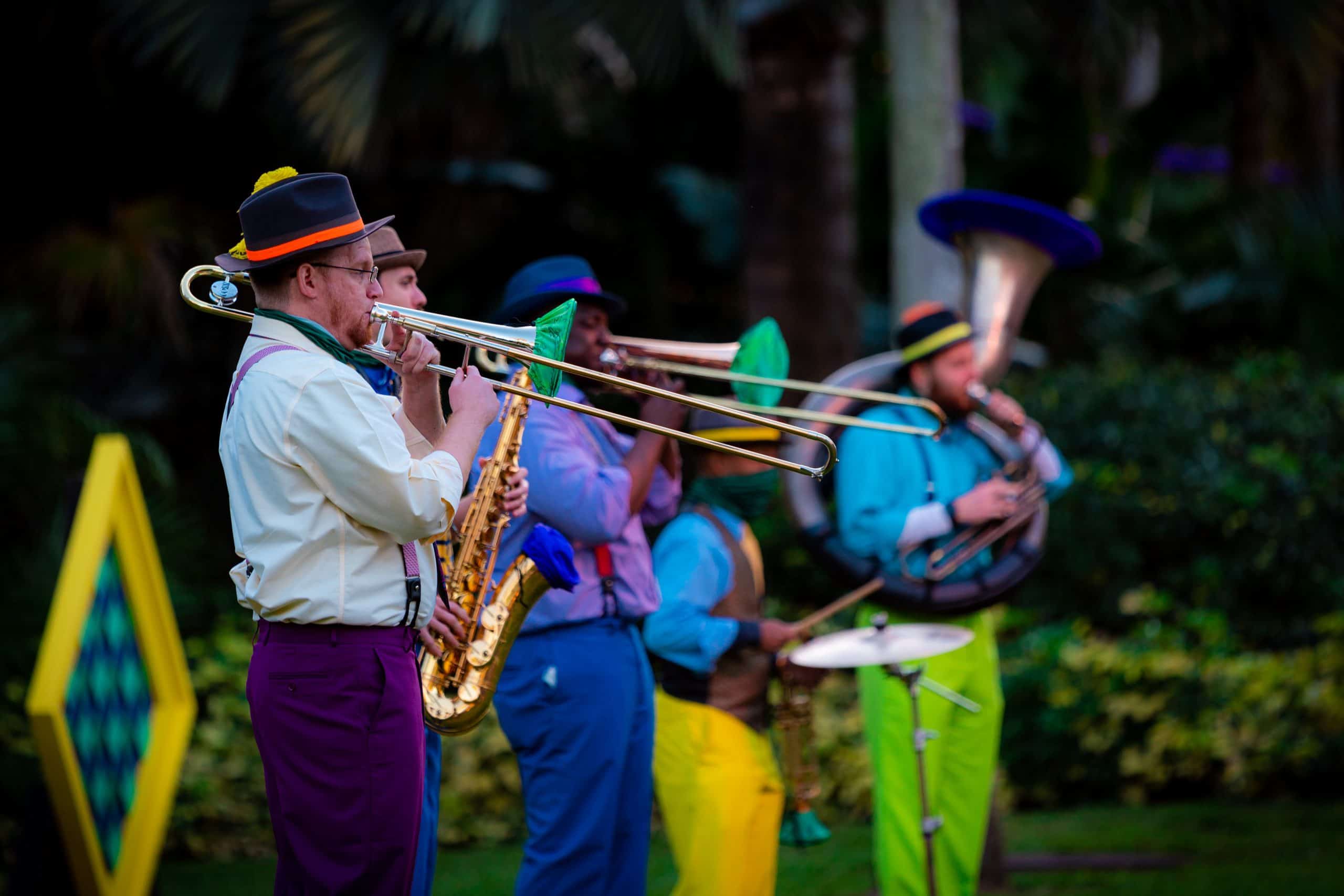 Visitar Busch Gardens Tampa Bay en febrero