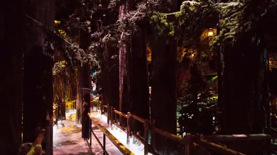 Las cinco colas principales de atracciones en Universal Orlando