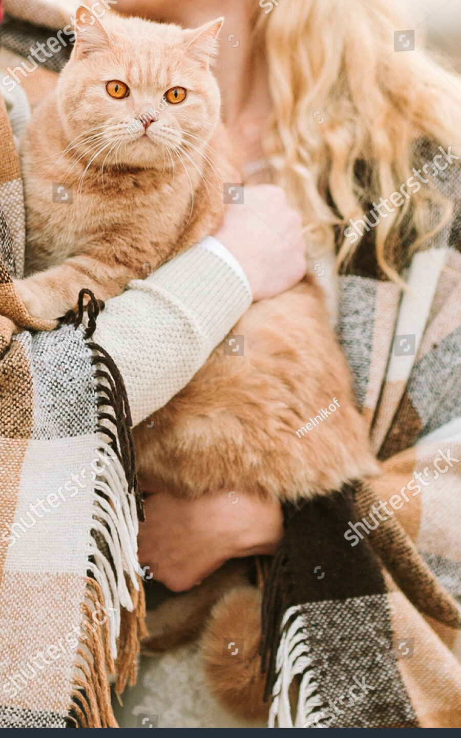 Los animales aman la naturaleza y el concepto otoñal​: Foto de stock 721082668 ...