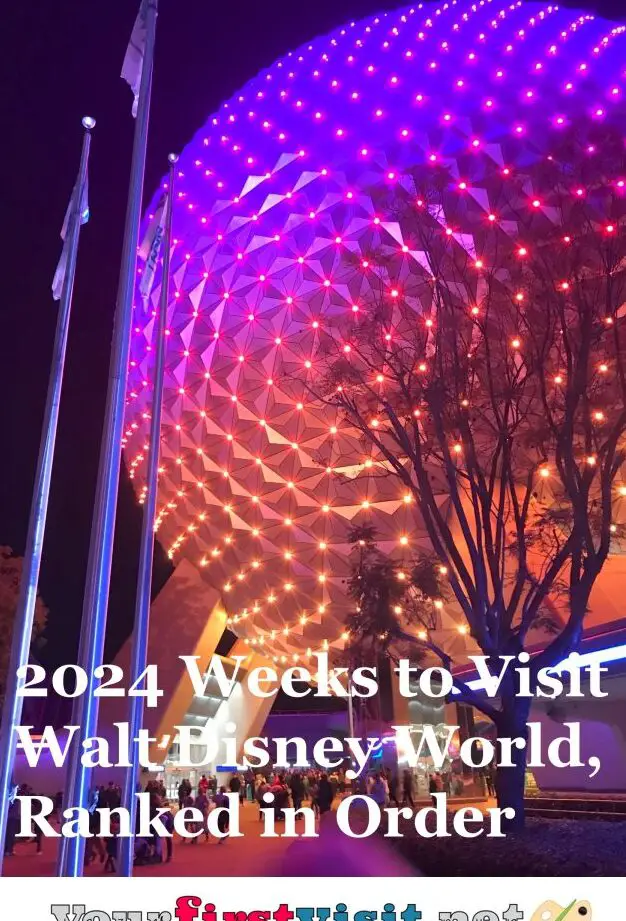 Partes de Disney World bajo tormenta tropical: mira este fin de semana ...