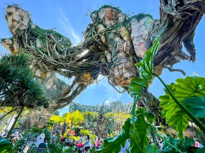 Descripción general del Reino Animal de Disney - AllEars.Net