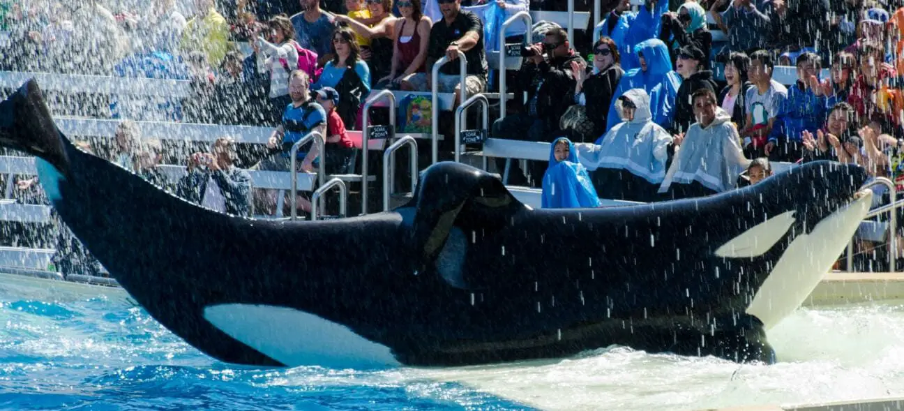 Plan de gira por Sea World Orlando para menores de 5 años: mini viajeros ...
