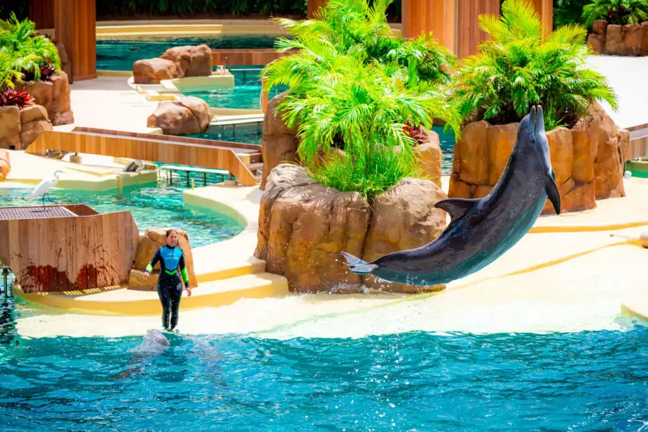 Nuestros diez mejores consejos para visitar SeaWorld Orlando